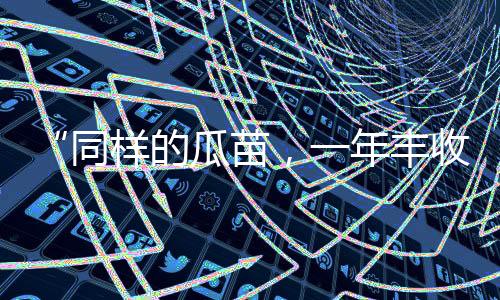 【】都是苗年一样的东西