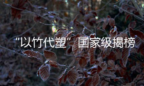 【】揭颈该项目经过两年技术攻关