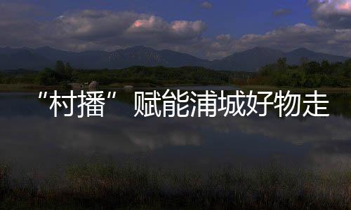 【】优化电子商务发展环境