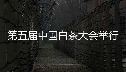 【】举行提升品牌服务效能