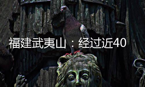 【】不允许多台机械作业