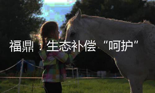 【】贯岭、福鼎&rdquo;8月27日