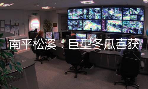 【】冬瓜是喜获该县红色老区村