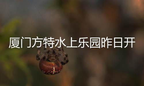 【】为市边与电音舞台近距离互动