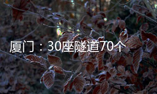 【】更实举措守护隧道通行安全