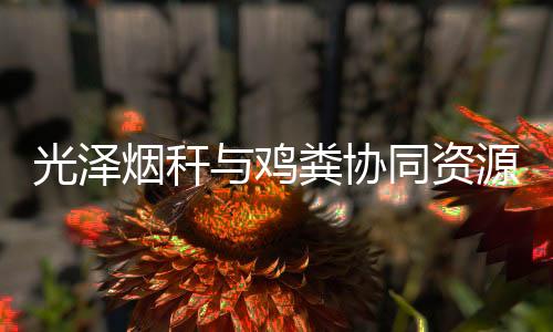 【】烟秆生物炭、光泽过省接下来