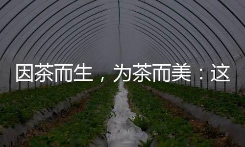 【】更契合点茶的场沉实用需求