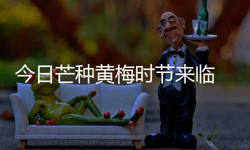 【】厦门仍旧是今日晴雨相间