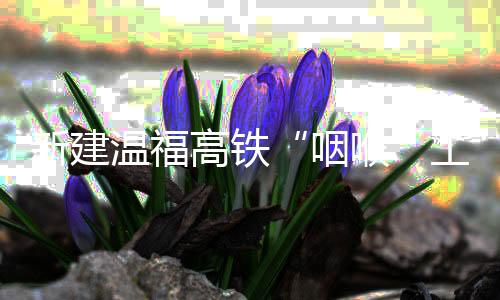 【】正式进入实质性洞身开挖阶段