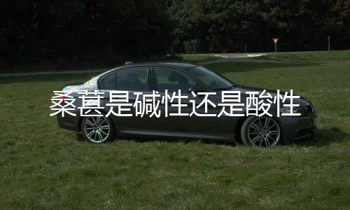 【】碱性桑葚的还酸味道甜而微酸