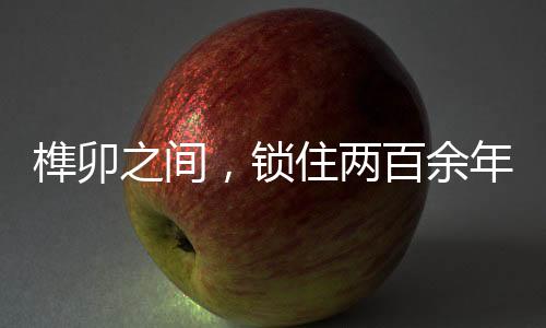 【】它晕染了参差的福鼎墨韵