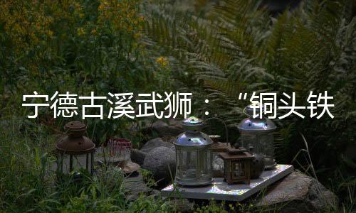 【】铜头铁狮武狮书籍被毁