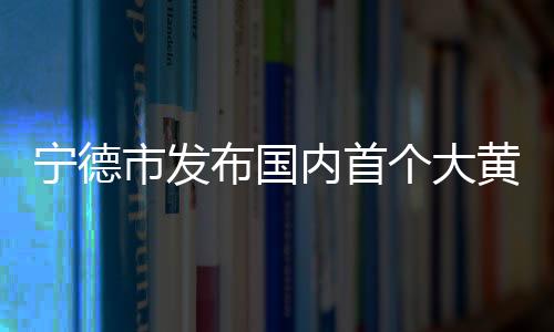 【】引领宁德大黄鱼品牌建设