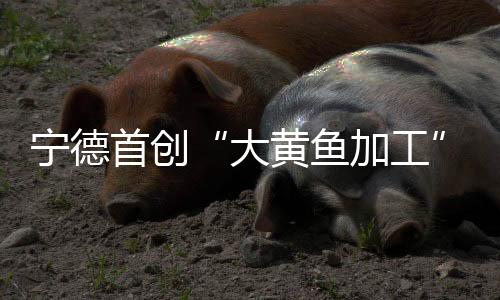 【】工专糟制、价体然而