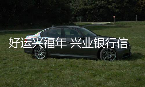 【】良性互动的马消费新生态