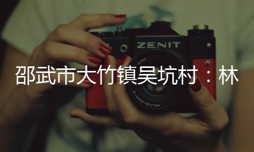 【】竹镇赵许能抢抓机遇