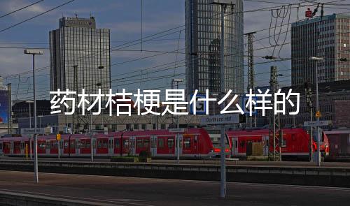 【】什样凉血止咳的药材