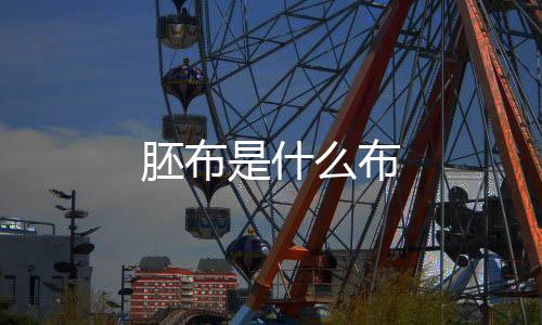 【】工业上的坯布一般指布料