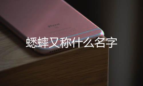 【】、什名孙旺,蟋蟀土蜇