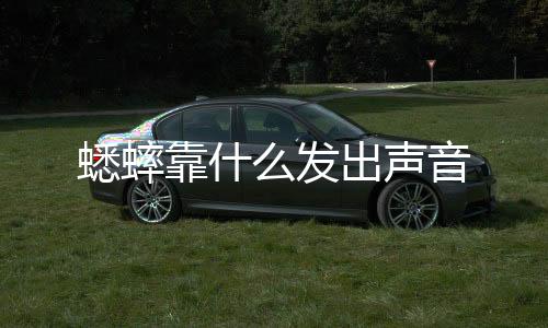 【】2、发出无脊椎动物