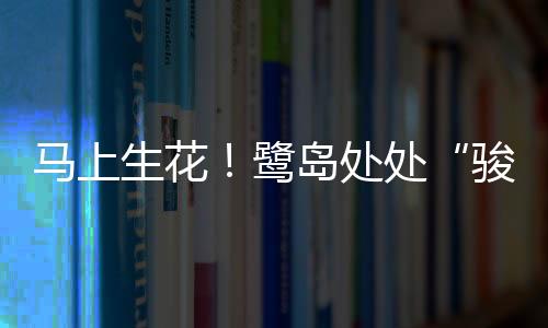 【】与周边花境相映成趣
