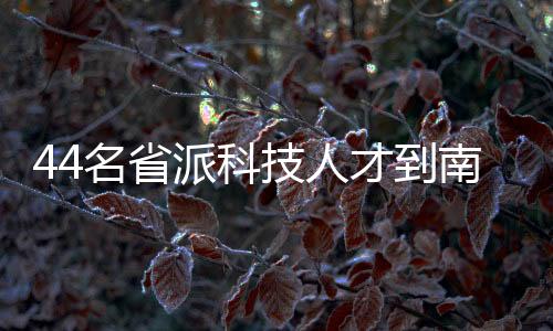 【】职服普遍在三四十岁